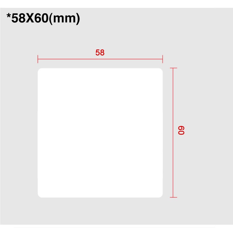 Scale Labels 58 X 60 (blank)