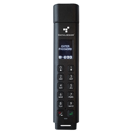 DataLocker Sentry K300 64GB Encrupted Micro SSD Memory Key