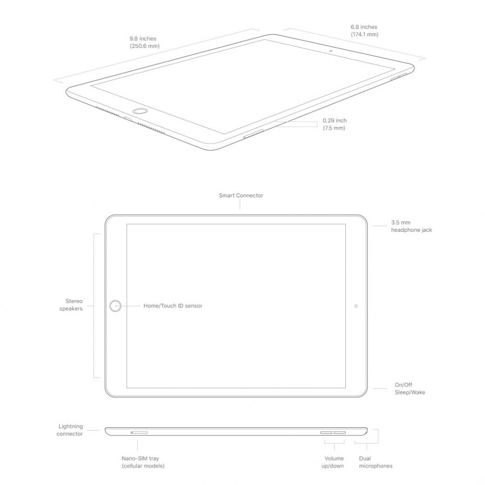 Apple iPad (9th Gen) Dimensions & Drawings